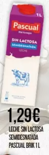 Pascual - Leche Sin Lactosa Semidesnatada