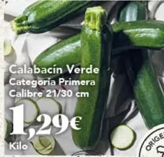 Calabacin Verde