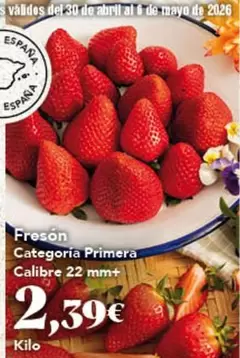 Abril - Freson Categoria Primera Calibre 22mm+