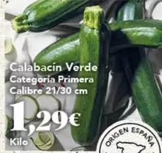 origen - Calabacin Verde