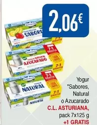 La Asturiana - Yogur