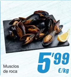 Roca - Musclos De
