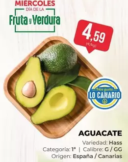 origen - Aguacate