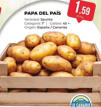 origen - Papa Del País