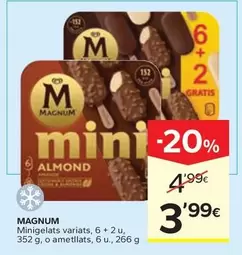Magnum - Minigelats Variats