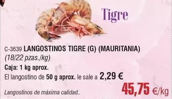 Abordo - Langostinos Tigre (Mauritana)