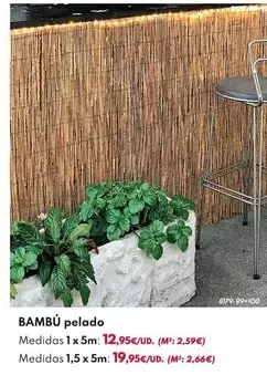 Bambu Pelado