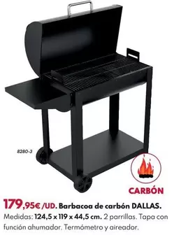 Barbacoa De Carbon Dallas