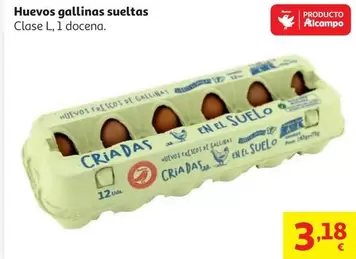 Huevos Gallinas Sueltas 