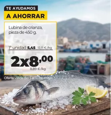 Lubina De Crianza