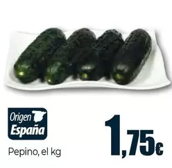 Pepino El Kg