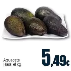 Aguacate Hass