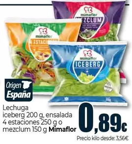 Mimaflor - Lechuga Iceberg