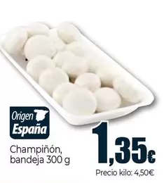 Champiñón