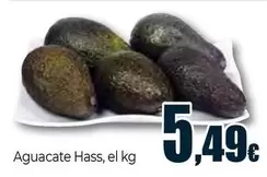 Aguacate Hass