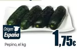 Pepino El Kg