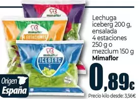 Mimaflor - Lechuga Iceberg Ensalada 4 Estaciones O Mezclum