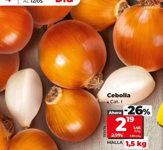 Cebolla