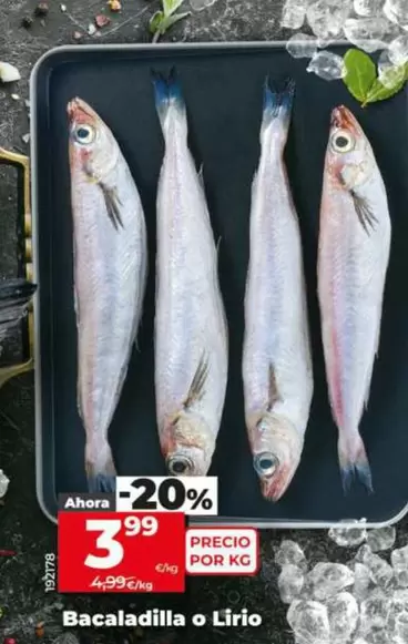 Bacaladilla O Lirio