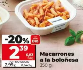 Dia - Macarrones A La Bolonesa