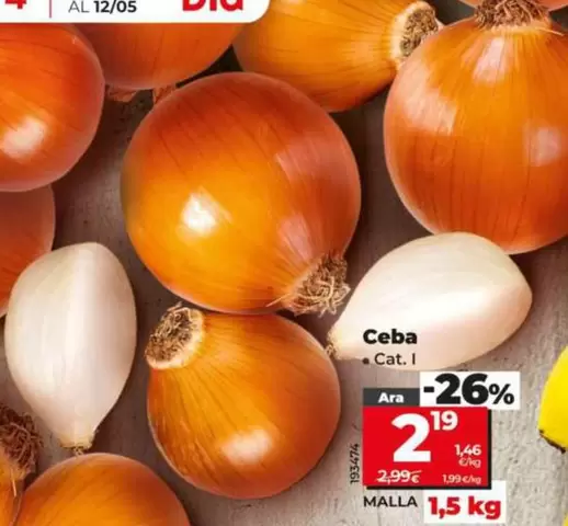 Ara - Ceba