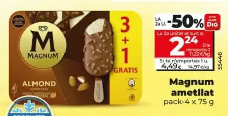 Magnum -  Ametllat