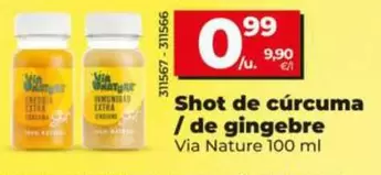 Nature - Shot De Curcuma/de Gingebre