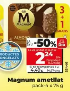 Magnum -  Ametllat