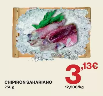 Chipirón Sahariano