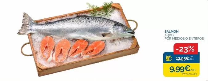 Salmon