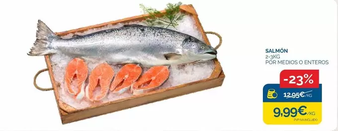 Salmon