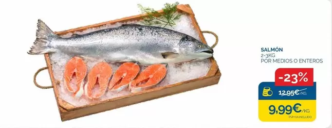 Salmon