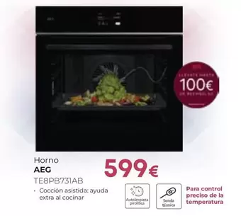 AEG - Horno TE8PB731AB 