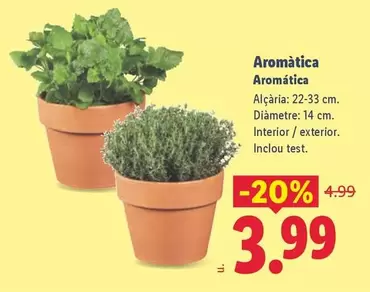 Aromática 