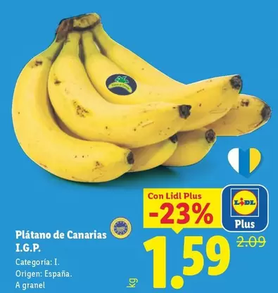 Platano De Canarias I.G.P.