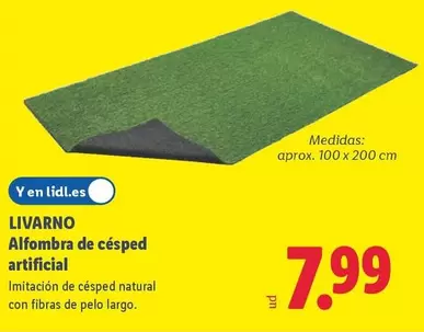 Livarno - Alfombra De Cesped Artificial