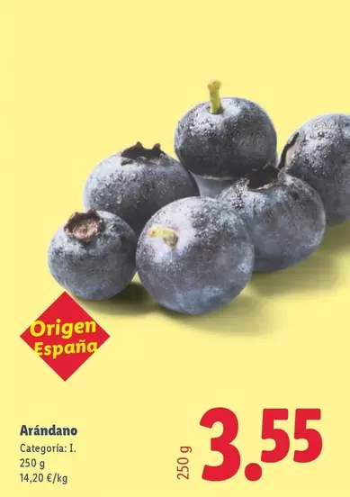 Arándano 
