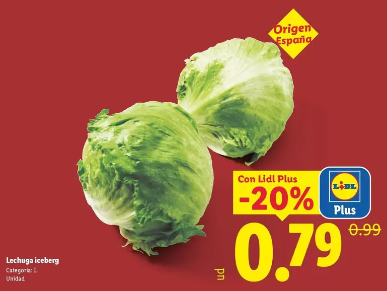 Lechuga Iceberg