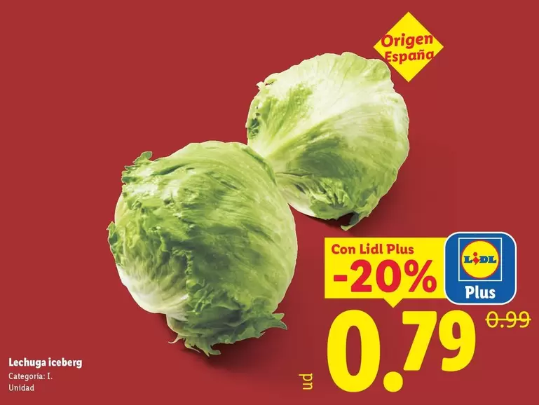 Lechuga Iceberg
