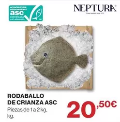 Rodaballo De Crianza Asc