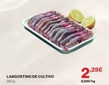 Langostino De Cultivo