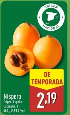 Nispero