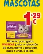Whiskas - Alimento Para Gatos Junior O Selección De Aves, Carne O Pescado