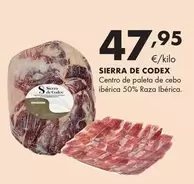 Sierra De Codex - Centro De Paleta De Cebo Ibérica 50% Raza Ibérica