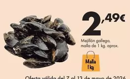 Mejillon Gallego