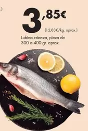 Lubina Crianza