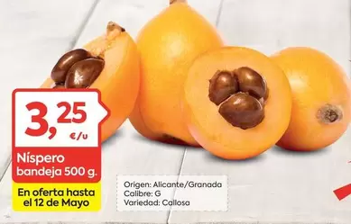 origen - N¡spero Bandeja 500 g