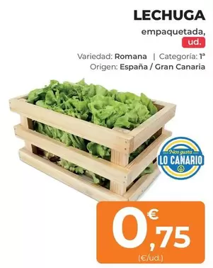 origen - Lechuga