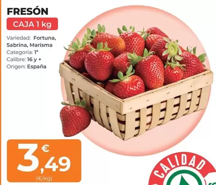 origen - Fresón
