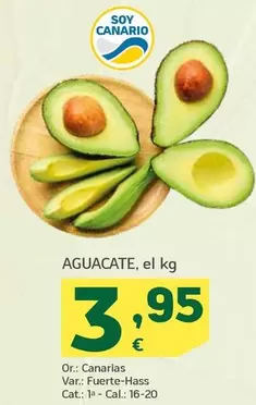 Aguacate